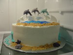 Cakes by Heidi 